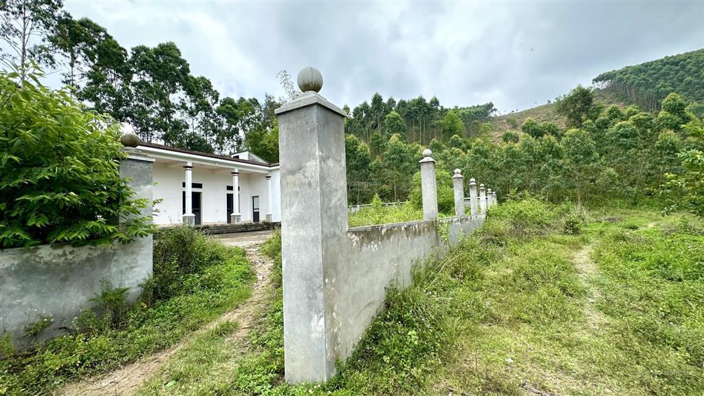Cần bán 961,7m² đất có nhà ở luôn tại thôn đồng pheo xã yên dương huyện tam đảo  vĩnh phúc