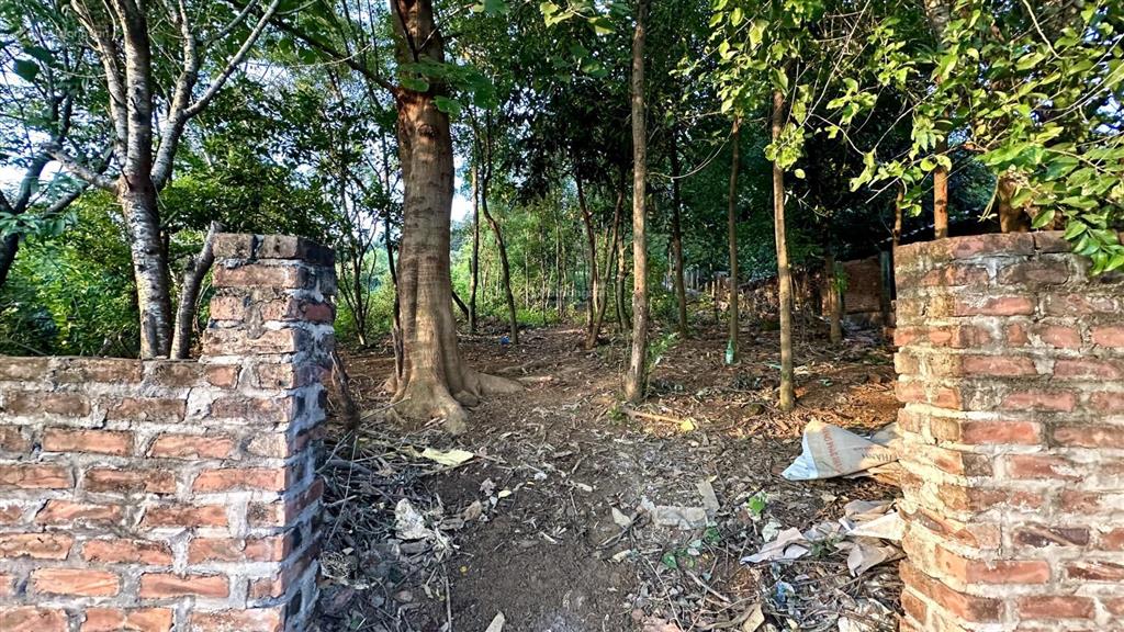 Cần bán 696,100m2 đất ở, mt 15m,thế đất cao thoáng tại minh hồng,minh quang(cũ), ba vì, tp hà nội