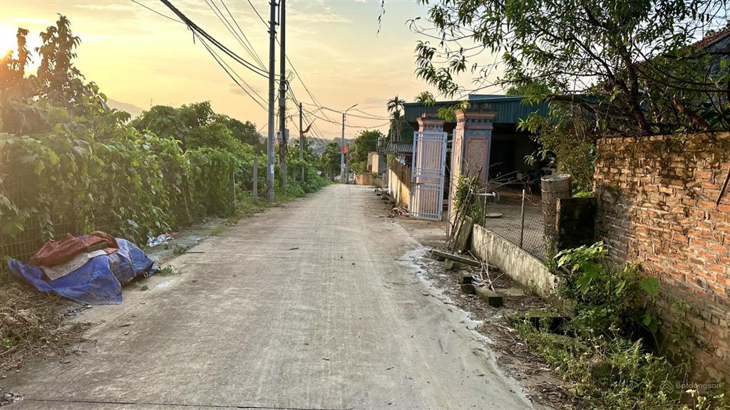 Cần bán 696,100m2 đất ở, mt 15m,thế đất cao thoáng tại minh hồng,minh quang(cũ), ba vì, tp hà nội