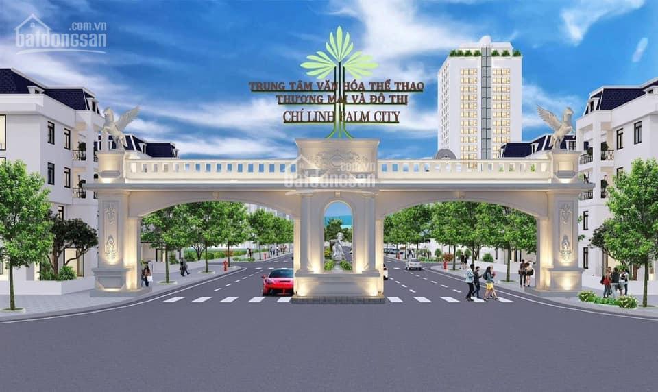 Bán lô biệt thự nhà vườn palm chí linh, hải dương