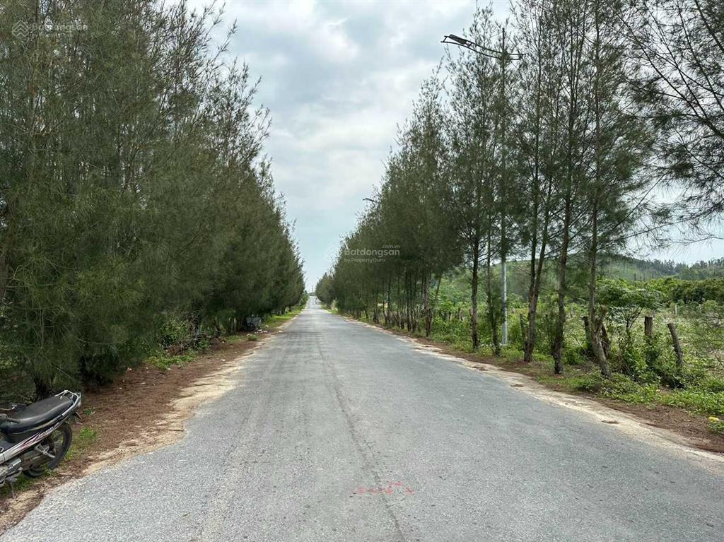 Bán mảnh đất vàng 1600 m2 đối diện dự án 5 sao giai đoạn 2 của tập đoàn viglacera