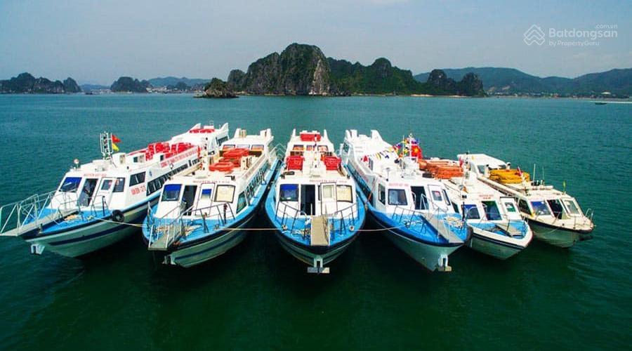 Bán mảnh đất vàng 1600 m2 đối diện dự án 5 sao giai đoạn 2 của tập đoàn viglacera