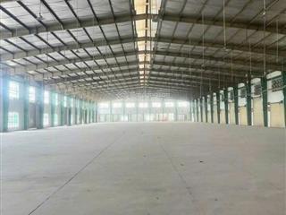 Cho thuê kho xưởng siêu vip 8.000m² mặt tiền quốc lộ 22, x tân phú trung, củ chi.
