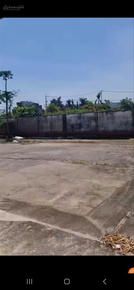 Cho thuê kho xưởng siêu vip 8.000m² mặt tiền quốc lộ 22, x tân phú trung, củ chi.