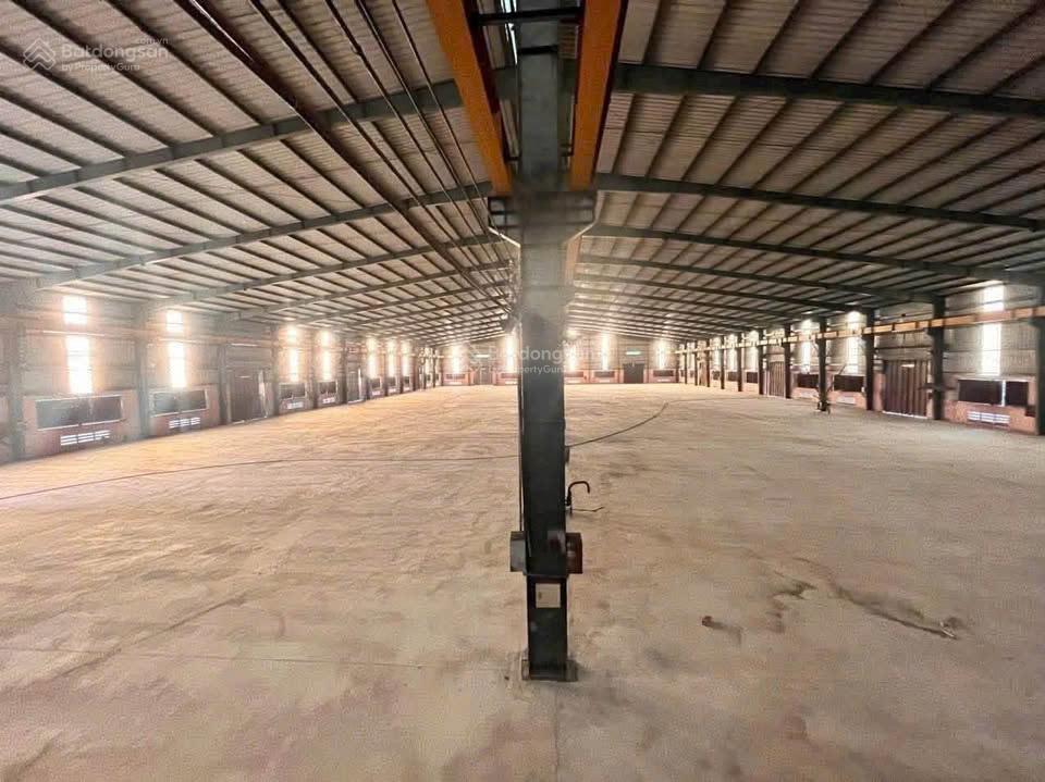 Cho thuê kho xưởng siêu vip 14.150m² đường hồ văn tắng, củ chi