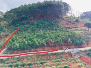 Cực hot ! lô góc 2 mt giáp chân thông ngay sát đà lạt sẵn đất xd chỉ hơn 2 tỷ.  0906 770 *** tv