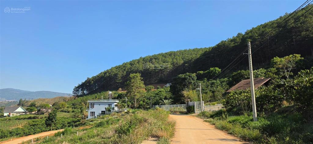 Chỉ triệu sở hữu đất đồi thông view suối cam ly sát cạnh đà lạt