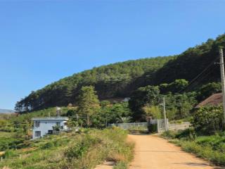 Chỉ triệu sở hữu đất đồi thông view suối cam ly sát cạnh đà lạt