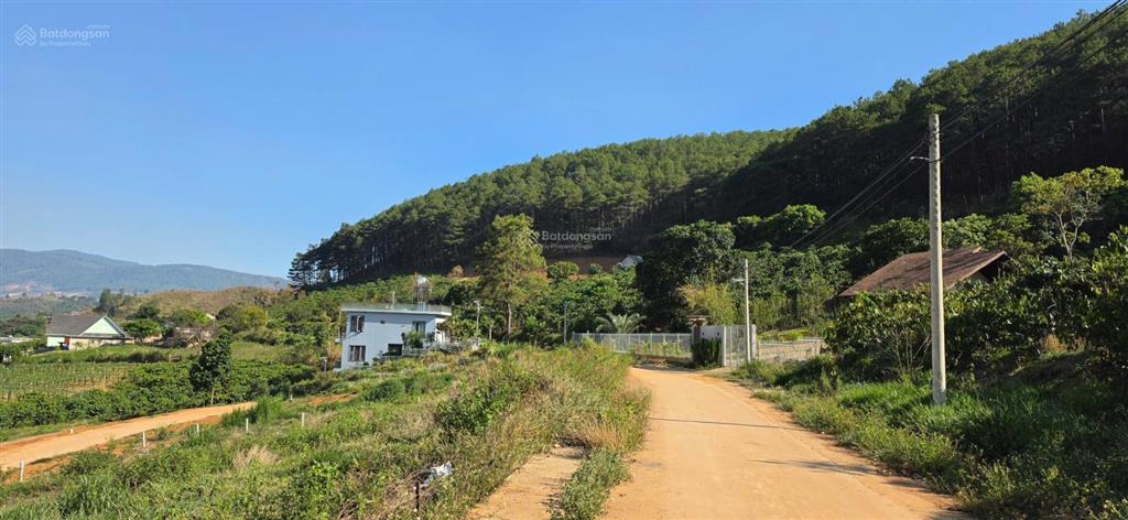 Chỉ triệu sở hữu đất đồi thông view suối cam ly sát cạnh đà lạt