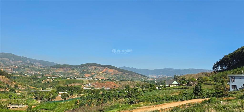 Chỉ triệu sở hữu đất đồi thông view suối cam ly sát cạnh đà lạt