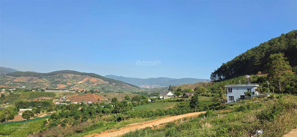 Chỉ triệu sở hữu đất đồi thông view suối cam ly sát cạnh đà lạt