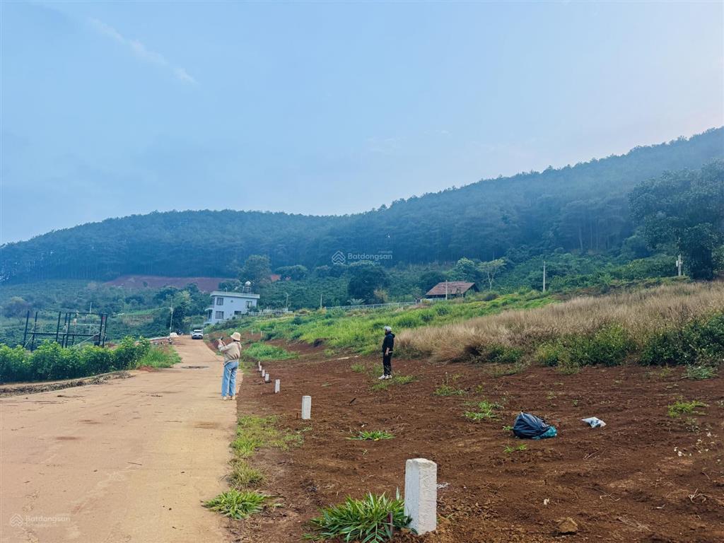 Chỉ triệu sở hữu đất đồi thông view suối cam ly sát cạnh đà lạt