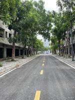 Cần chuyển nhượng gấp shophouse 100m2 vạn tuế  ecopark. trục đường lớn 24m