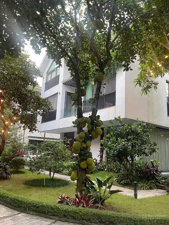 Bán biệt thự song lập mimosa ecopark, diện tích 189m2, giá 33 tỷ bao phí.