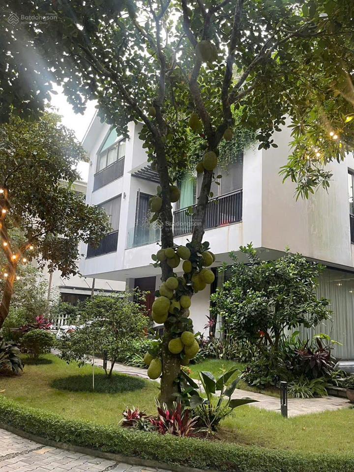 Tổng hợp quỹ căn chuyển nhượng liền kề, biệt thự ecopark 2026