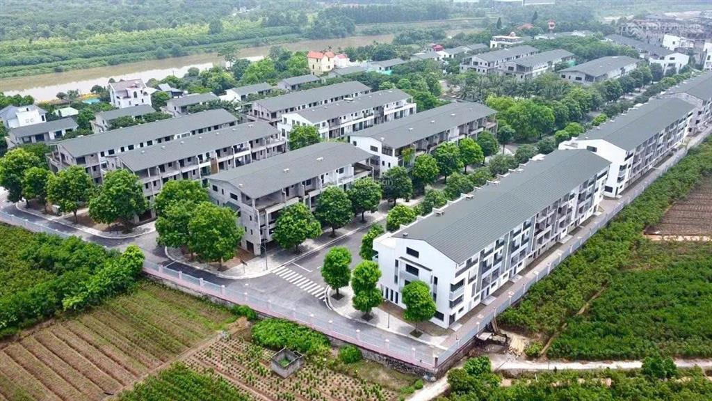Tổng hợp quỹ căn chuyển nhượng liền kề, biệt thự ecopark 2026