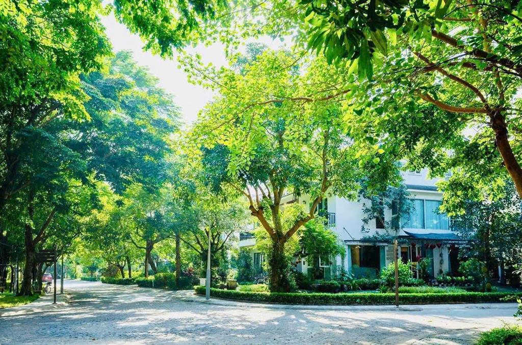 Tổng hợp quỹ căn chuyển nhượng liền kề, biệt thự ecopark 2026