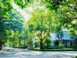 Tổng hợp quỹ căn chuyển nhượng liền kề, biệt thự ecopark 2026
