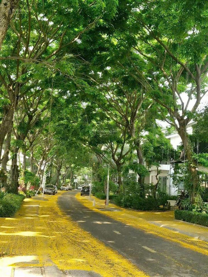 Tổng hợp quỹ căn chuyển nhượng liền kề, biệt thự ecopark 2026
