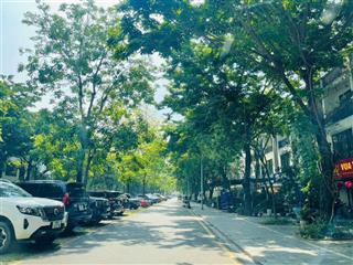 Bán nhà phố thủy nguyên ecopark 100m² có sổ đỏ, giá chỉ 20.5 tỷ bao phí