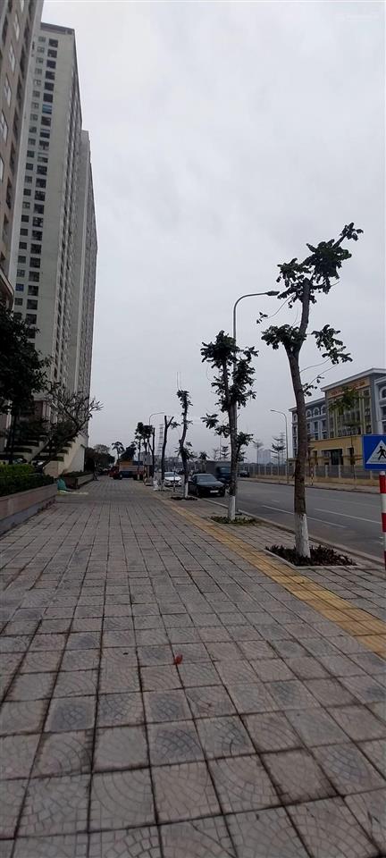 Cho thuê văn phòng sâng sịn, đủ nội thất, phí dịch vụ, vat, chỉ xâch mây tính đên làm việc  5,5 tr