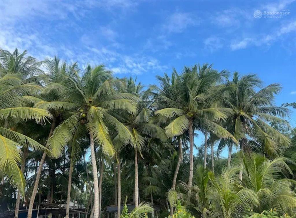 Chính chủ bán đất biển tam hải đà nẵng