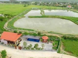Villa nghỉ dưỡng 1000m2 view sông  hòa vang, đà nẵng dòng tiền 700 triệu/năm  chủ gấp bán 6.7 tỷ