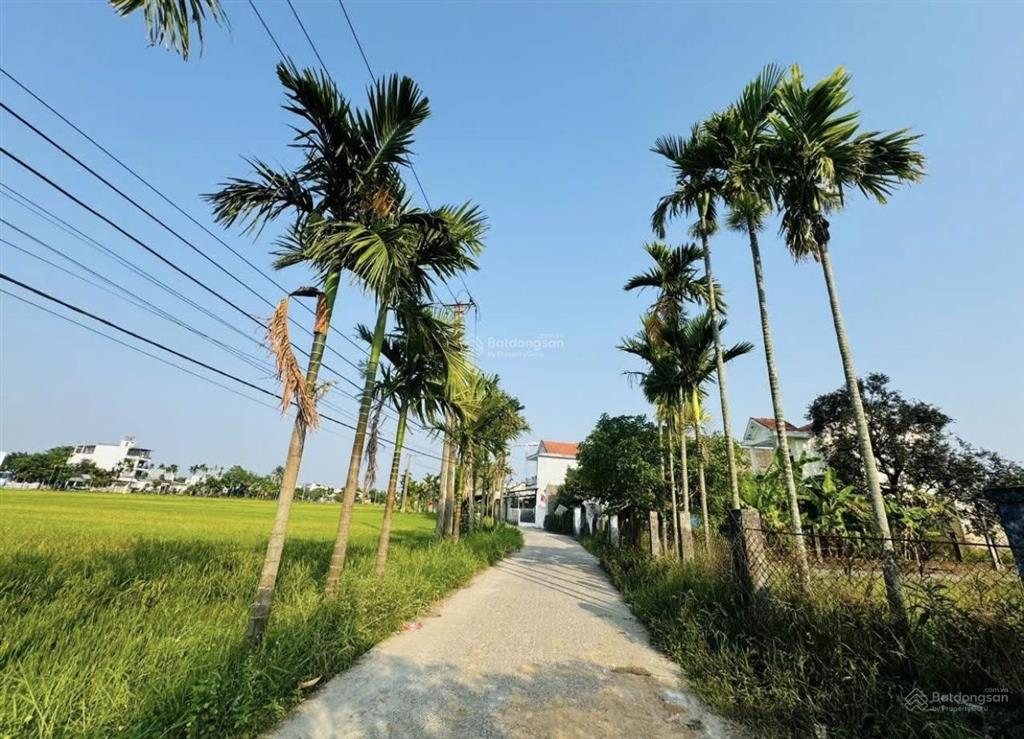 Nhỉnh 1 tỷ sở hữu ngay 105m đất sát biển viêm đông, view trực diện đồng lúa chill cực đỉnh!
