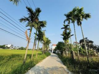 Nhỉnh 1 tỷ sở hữu ngay 105m đất sát biển viêm đông, view trực diện đồng lúa chill cực đỉnh!