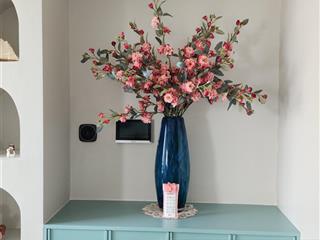 Gia đình chuyển về swan bay nhơn trạch. nên cần bán căn gó 2pn. full nội thất gần sông