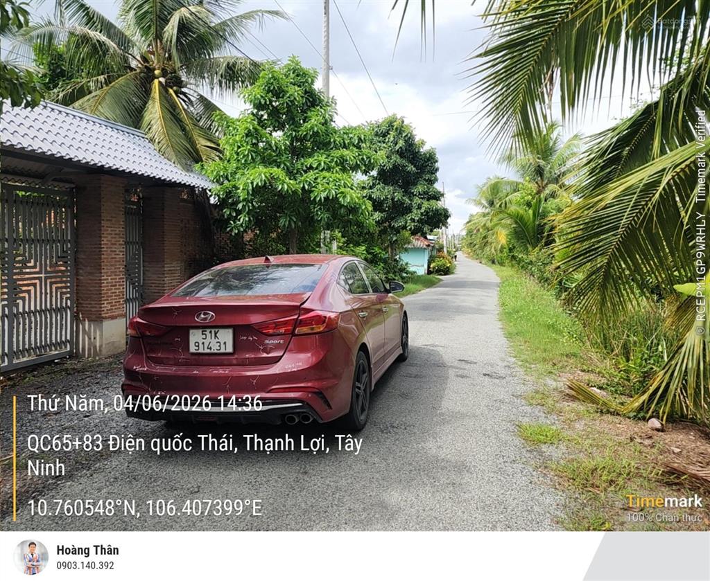 Cần bán nhà vườn có 200m2 thổ cư. hiện đang trồng chanh có thu hoạch. cách chợ trường học 500m