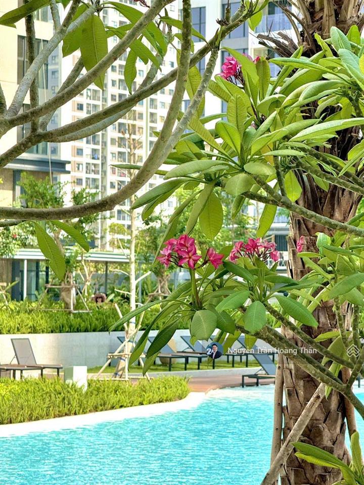 Căn 2pn đã có sổ hồng. nhà có 2 view đẹp, hướng mát quanh năm. tầng 09 thuộc căn hộ cao cấp masteri