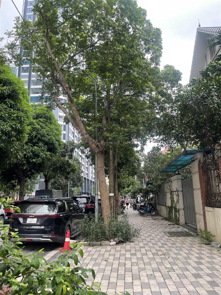 Bán biệt thự vườn đào d5c 677 lạc long quân 200m2 kinh doanh đỉnh mặt tiền 13m 174 tỷ