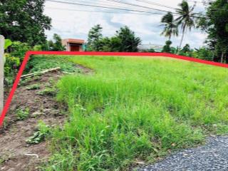 Bán đất 2000m2 tại gan kdc xã thạnh lợi, tây ninh, chỉ với 1,85 tỷ