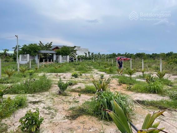 Chính chủ cho thuê đất hồ tràm 594m2 cách biển hồ tràm 3km. giá cực tốt