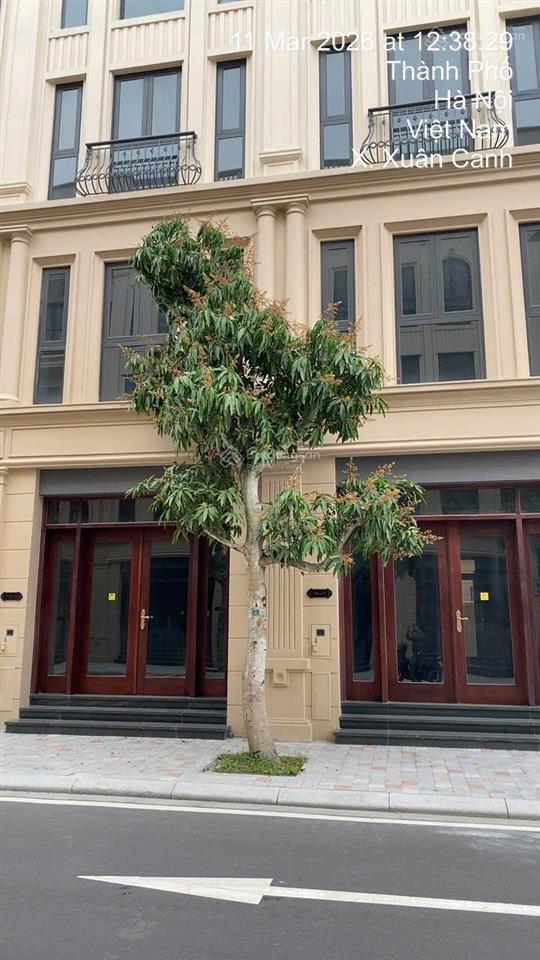 Chính chủ nhượng căn 75m2 phân khu thiên nga  sát hồ điều hòa, 29,2 tỷ (bao phí).