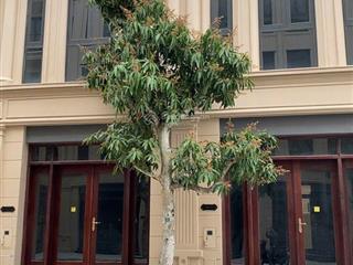 Chính chủ nhượng căn 75m2 phân khu thiên nga  sát hồ điều hòa, 29,2 tỷ (bao phí).