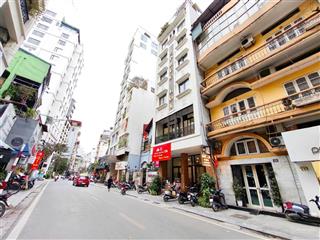 Siêu hiếm mặt tiền 10m mặt phố nguyễn trường tộ 4 tầng 165 tỷ
