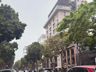 Mặt Phố Phan Chu Trinh- Hilton Lô Góc 3 Mặt Thoáng 160 Tỷ 7 Tầng Thang Máy