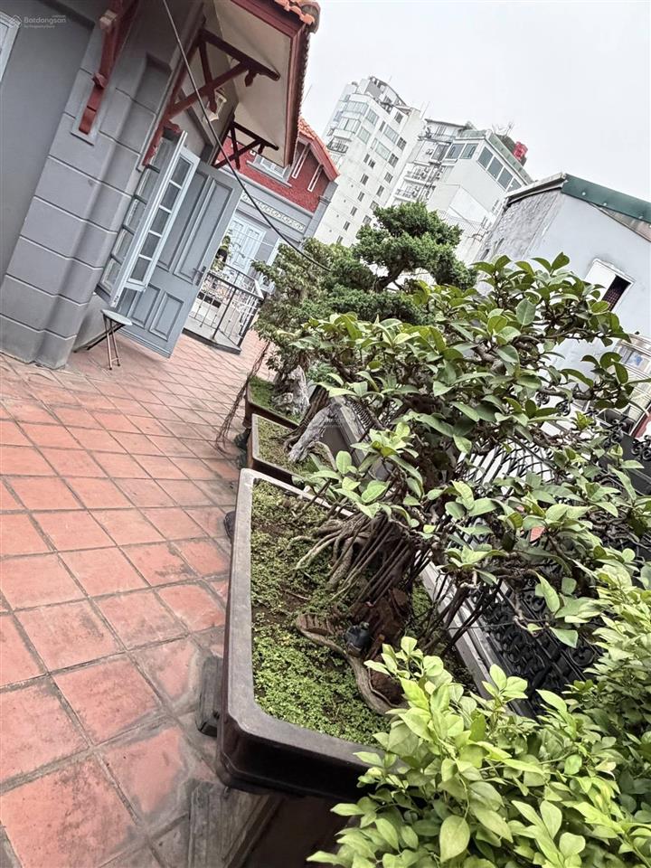 Nhà phố quán thánh mặt tiền 6.5m 2 mặt thoáng 145 tỷ 1 sổ 1 chủ nở hậu