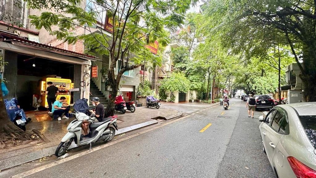 Hiếm ! mặt phố nguyễn văn ngọc 55m2 30.5 tỷ sổ vuông không lỗi phong thủy