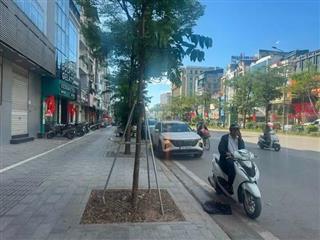 Mặt phố Yên Lãng 295M2 Mặt Tiền 12M 175 Tỷ Cho Thuê giữ nhà 200tr/th