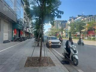 Mặt phố yên lãng 295m2 mặt tiền 12m 175 tỷ cho thuê giữ nhà 200tr/th