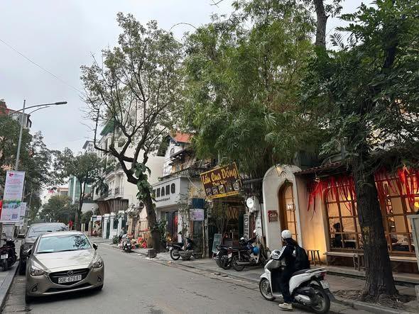 800tr/m2 Trục Bà Triệu Mặt Tiền 11M 240M2 Có GPXD 7 nổi 1 hầm
