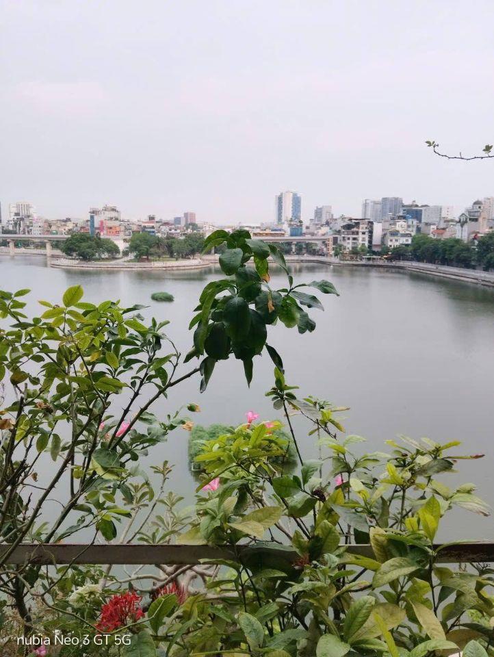 Mặt Phố Mai Anh Tuấn View Hồ Hoàng Cầu 50M2 5 Tầng 22.5 Tỷ Vị Trí đẹp ổn định