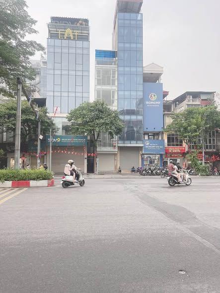 Mặt Phố Kim Mã 750M2 Mặt Tiền 35M 300 Tỷ 6 Tầng Dòng Tiền 6 Tỷ/năm
