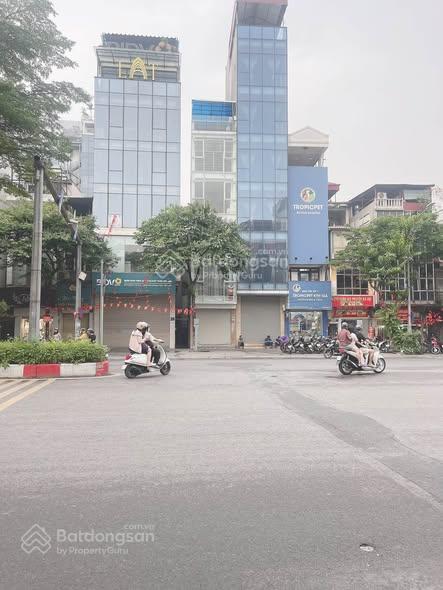 Mặt phố kim mã 750m2 mặt tiền 35m 300 tỷ 6 tầng dòng tiền 6 tỷ/năm