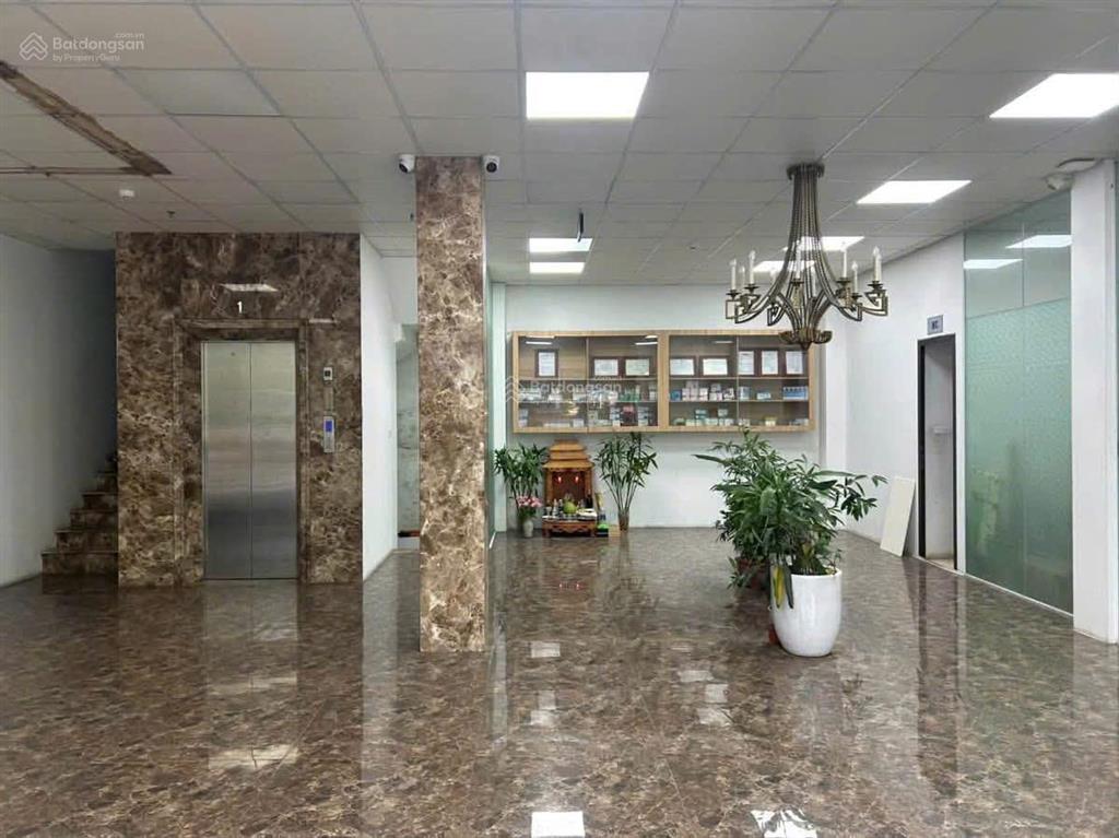 Nhà vườn đào 6 nổi 2 hầm mặt tiền 13m 185m2 117 tỷ, 2 thoáng vị trí đẹp