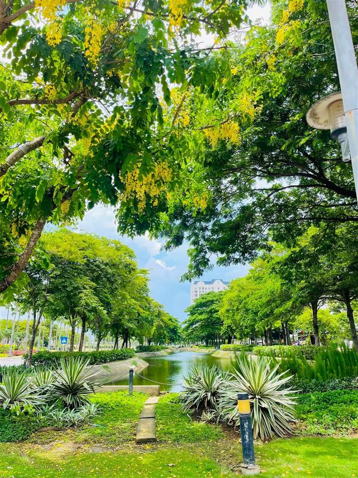 Nhà phố zone 8, đảo swanbay 119m2 gần hồ bơi giá 9,2 tỷ