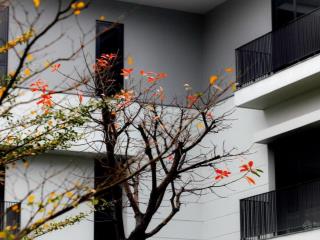 Bán biệt thự 306m2 tại khu lakeside villas  mailand hanoi city. giá bán 300tr/m2, nhà thô, sổ đỏ